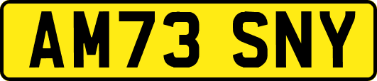 AM73SNY