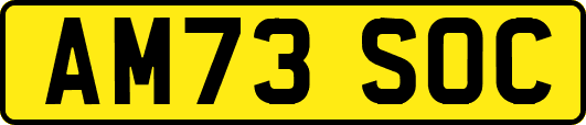 AM73SOC