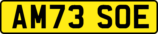 AM73SOE