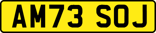 AM73SOJ