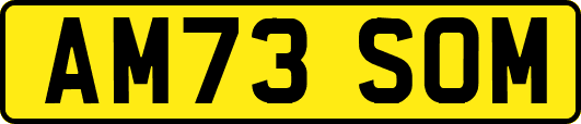 AM73SOM