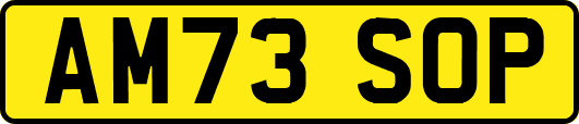 AM73SOP
