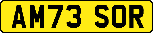 AM73SOR