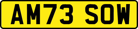 AM73SOW
