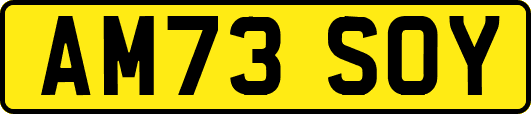 AM73SOY