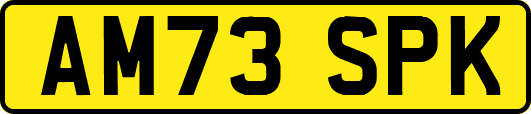 AM73SPK