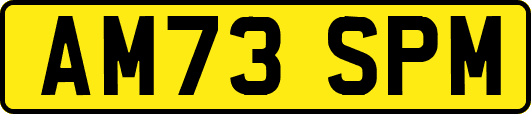 AM73SPM