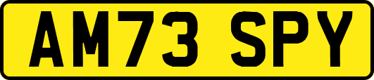 AM73SPY