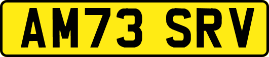 AM73SRV