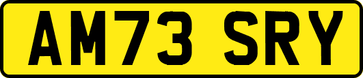 AM73SRY