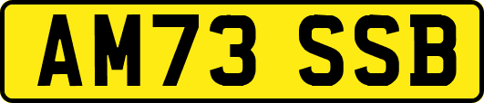 AM73SSB