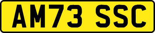 AM73SSC