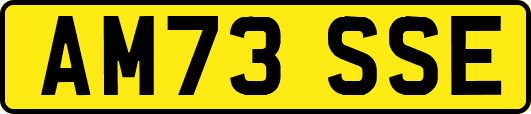 AM73SSE