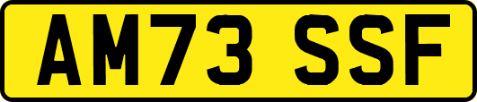 AM73SSF