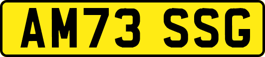 AM73SSG