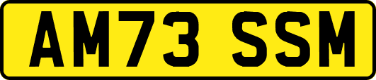 AM73SSM