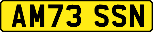 AM73SSN