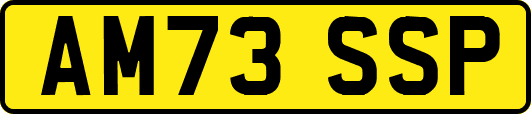 AM73SSP