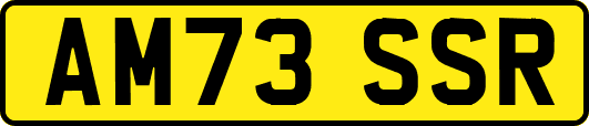 AM73SSR
