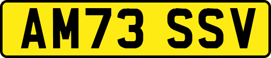 AM73SSV