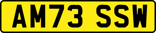 AM73SSW
