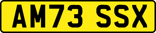 AM73SSX
