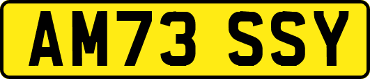 AM73SSY