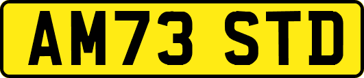 AM73STD