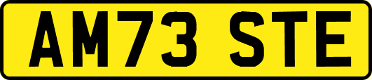 AM73STE