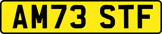AM73STF