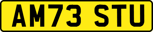 AM73STU