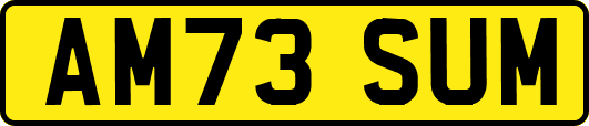 AM73SUM