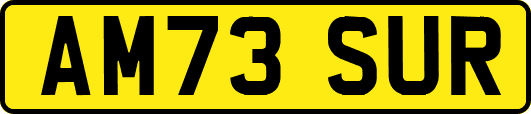 AM73SUR