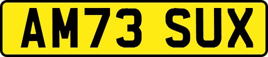 AM73SUX