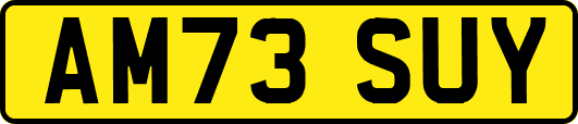 AM73SUY