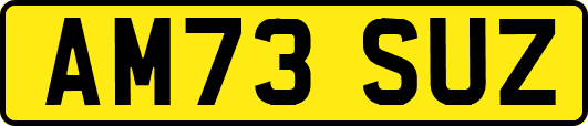AM73SUZ