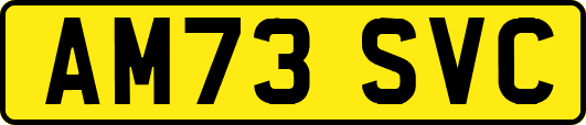 AM73SVC