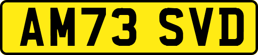 AM73SVD