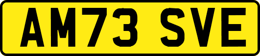 AM73SVE
