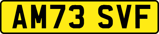 AM73SVF