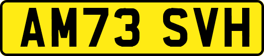AM73SVH