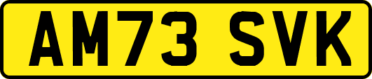 AM73SVK