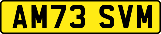 AM73SVM