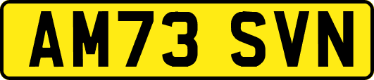 AM73SVN