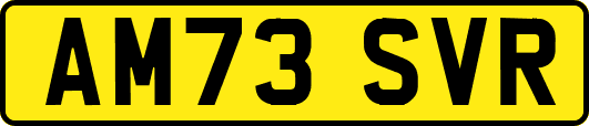 AM73SVR