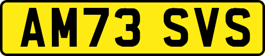 AM73SVS