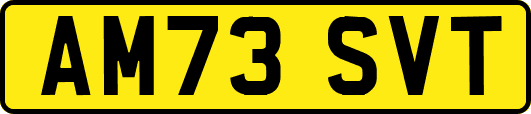 AM73SVT