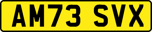 AM73SVX