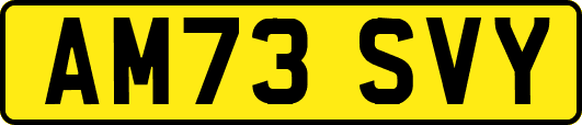 AM73SVY