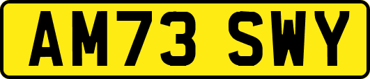 AM73SWY